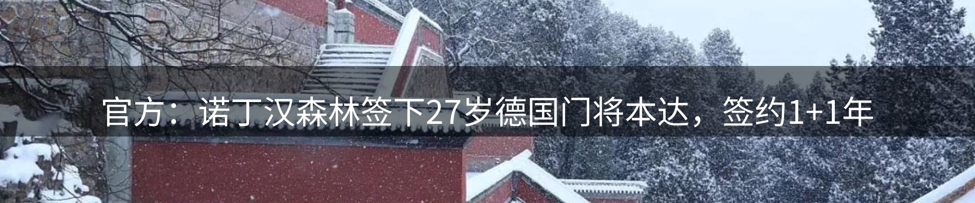 平台资讯